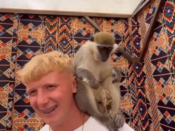 Hurghada Wildlife Park – Lion & Exotic Animals Photo Experience