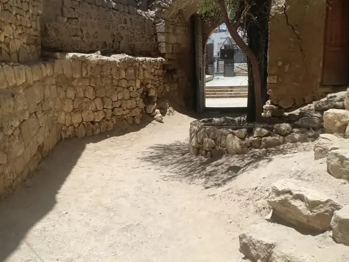 El Quseir historischer Tagesausflug – Eine der ältesten Städte am Roten Meer