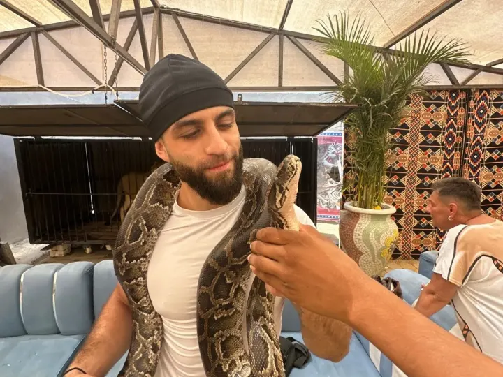 Hurghada Wildlife Park – Lion & Exotic Animals Photo Experience