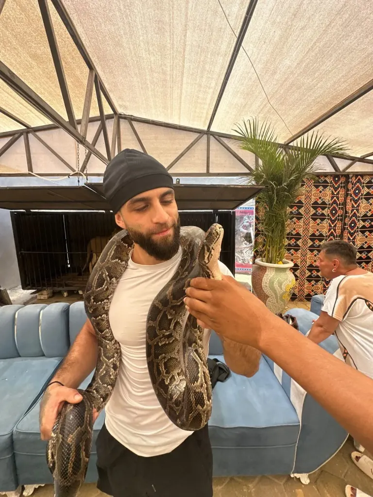 Hurghada Wildlife Park – Lion & Exotic Animals Photo Experience