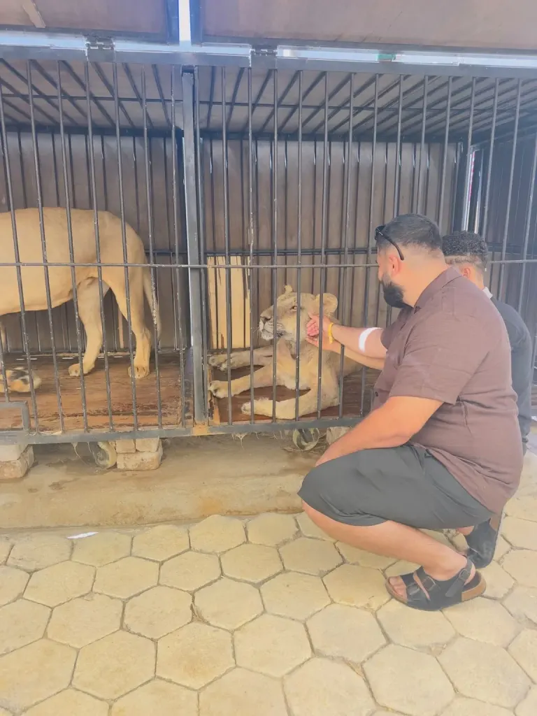 Hurghada Wildlife Park – Lion & Exotic Animals Photo Experience