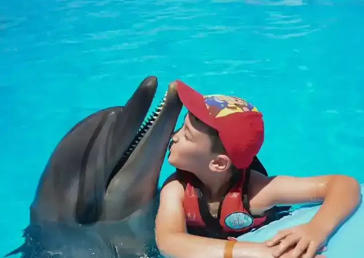 Hurghada Dolphin Show