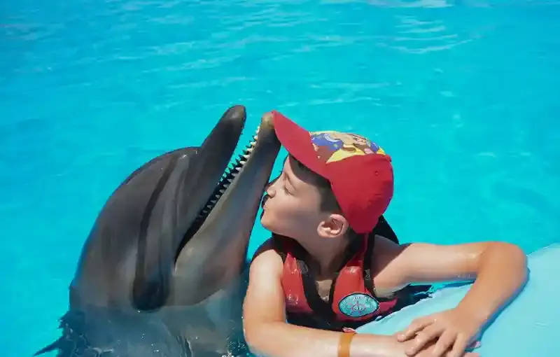 Hurghada Dolphin Show