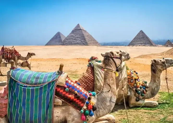 Classic Cairo: Egyptian Museum (Tahrir) & Pyramids