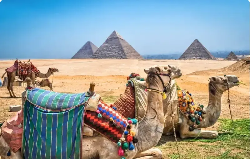 Classic Cairo: Egyptian Museum (Tahrir) & Pyramids