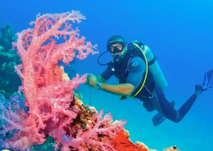 Red Sea Intro Diving Day