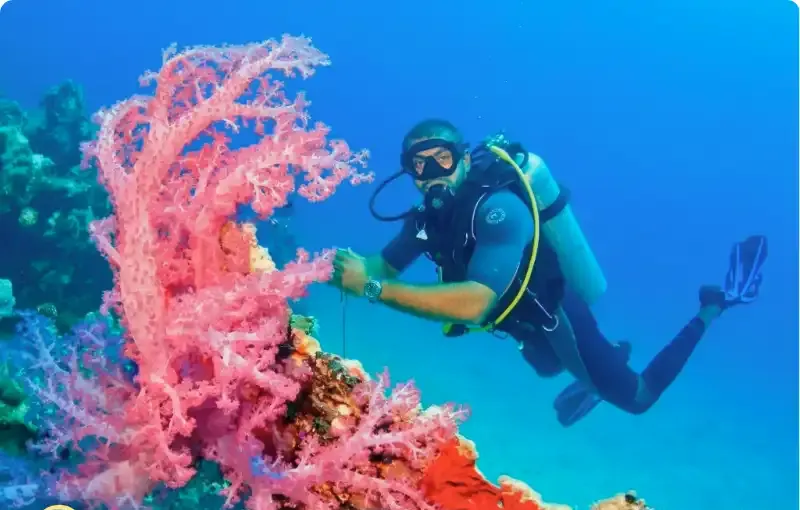 Red Sea Intro Diving Day