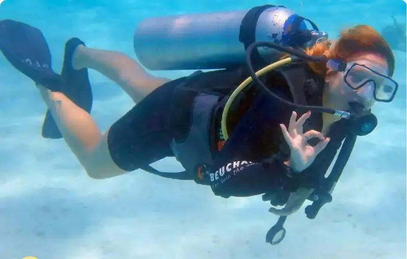 Red Sea Intro Diving Day