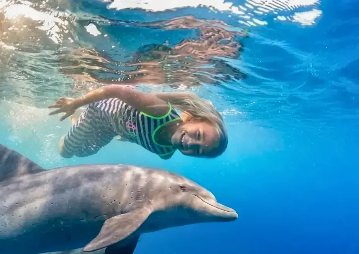 Dolphin House Snorkelling Trip