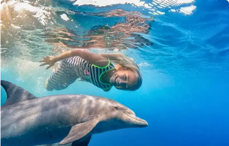 Dolphin House Snorkelling Trip