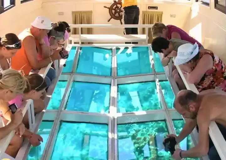 Private Glass-Bottom Boat
