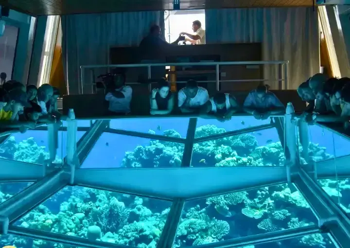 Private Glass-Bottom Boat