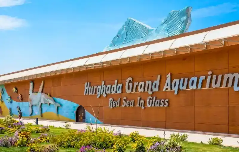 Hurghada Grand Aquarium Ticket