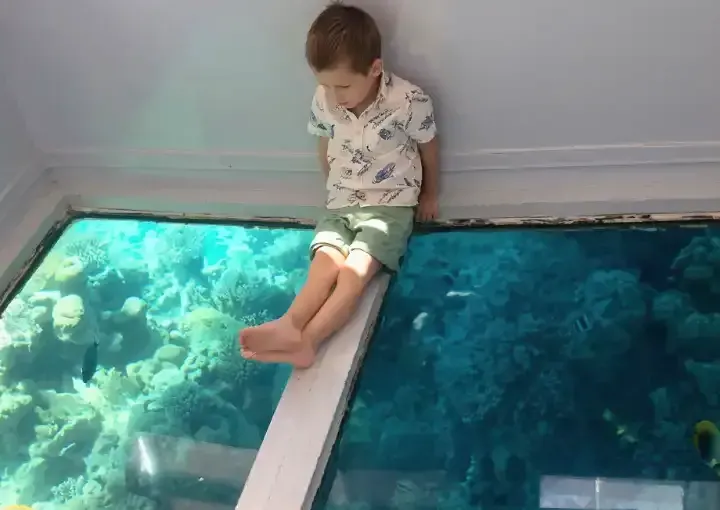 Private Glass-Bottom Boat