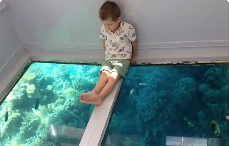 Private Glass-Bottom Boat