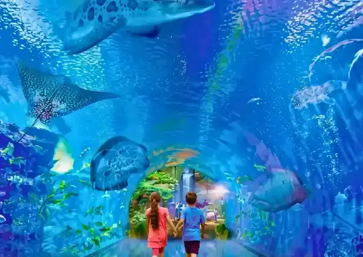 Hurghada Grand Aquarium Ticket