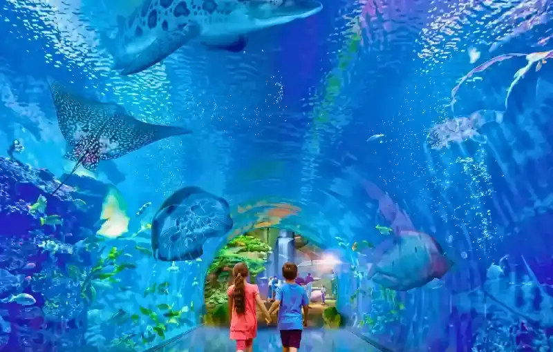 Hurghada Grand Aquarium Ticket