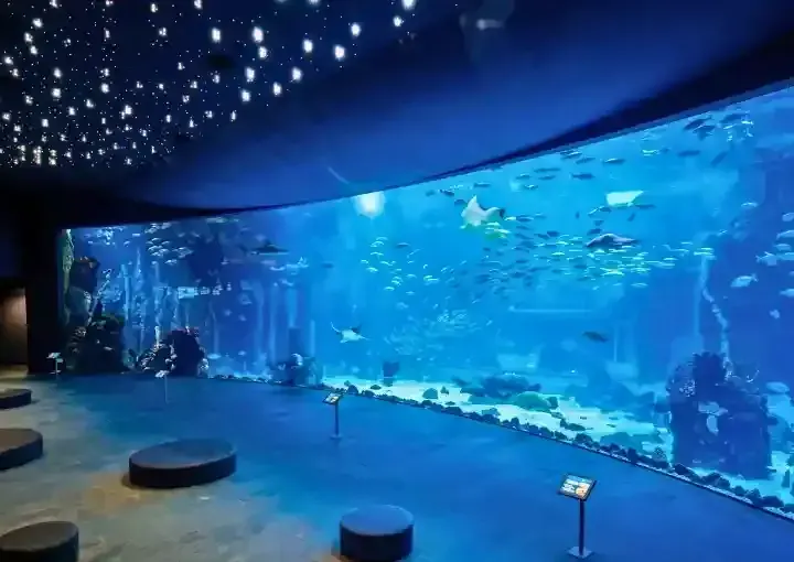 Hurghada Grand Aquarium Ticket