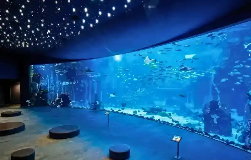 Hurghada Grand Aquarium Ticket