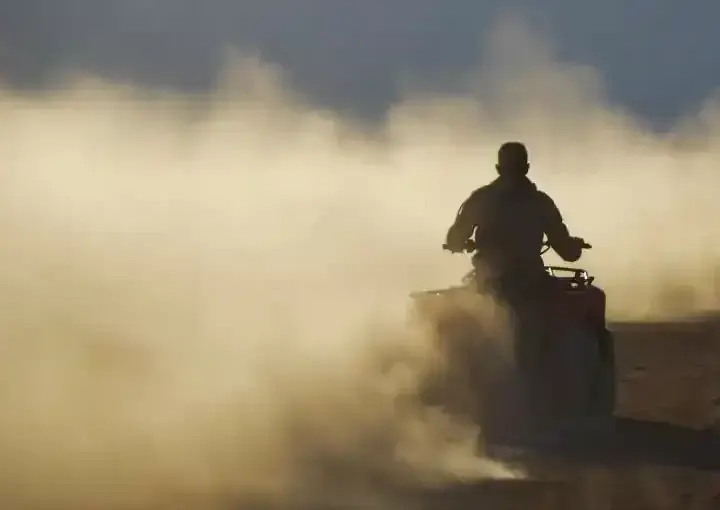 Morning Quad Bike Safari (3 Hours)