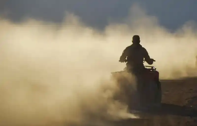 Morning Quad Bike Safari (3 Hours)