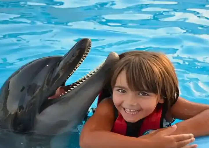 Hurghada Dolphin Show