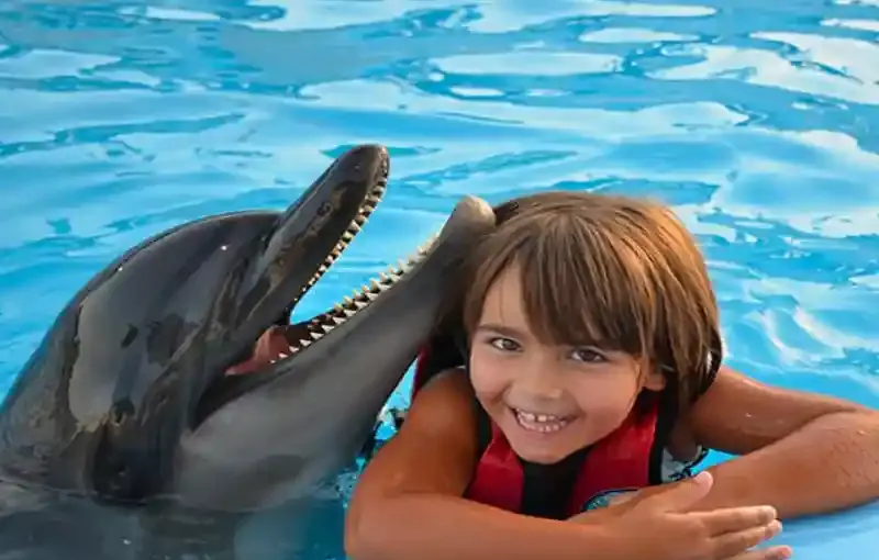 Hurghada Dolphin Show