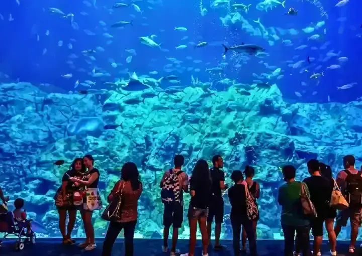 Hurghada Grand Aquarium Ticket