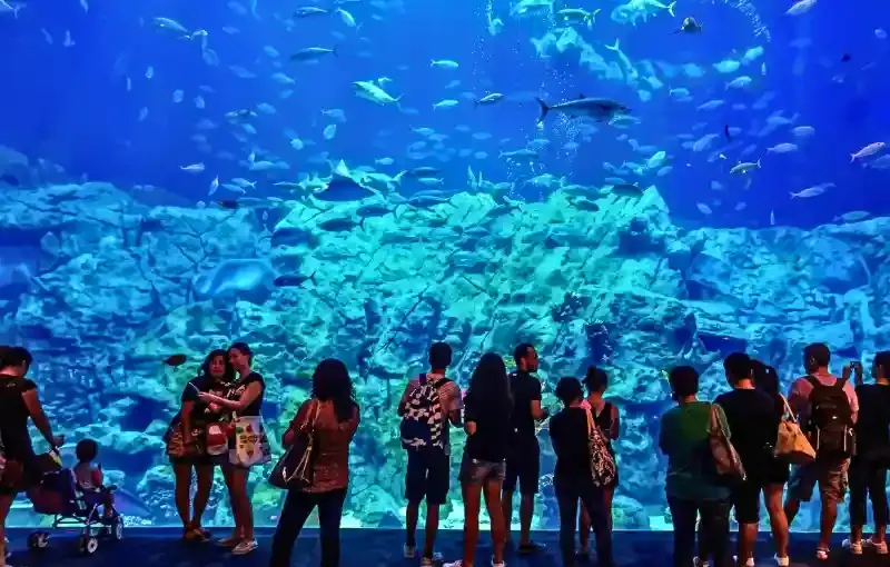 Hurghada Grand Aquarium Ticket