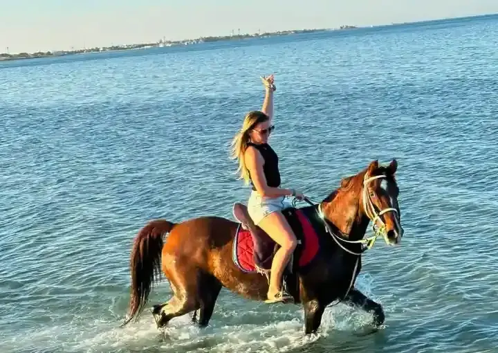 Horse Riding: Desert & Sea