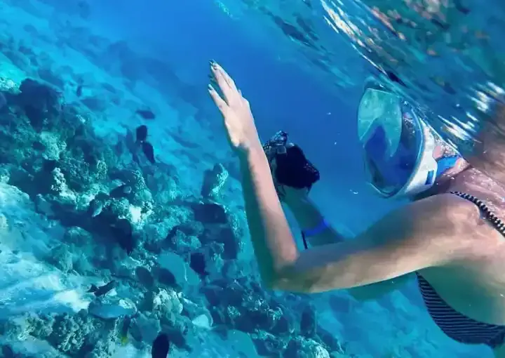 Red Sea Intro Diving Day