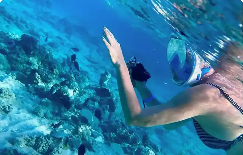 Red Sea Intro Diving Day