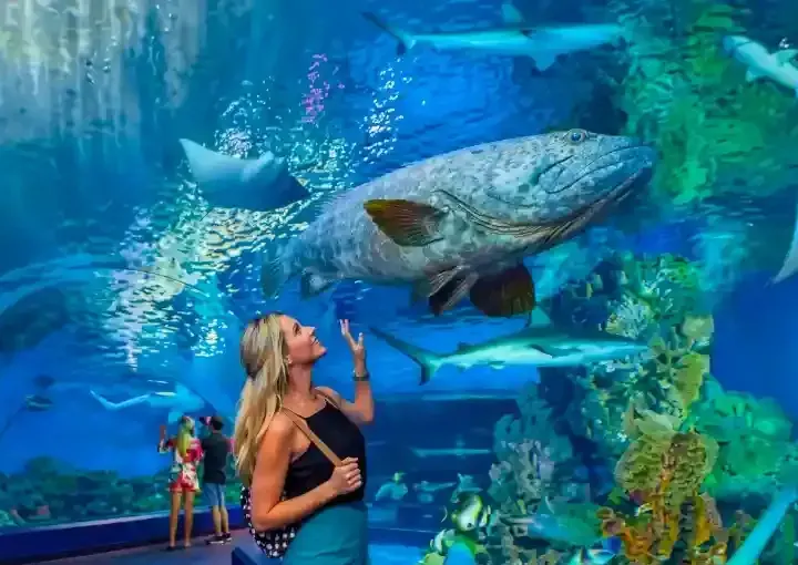Hurghada Grand Aquarium Ticket