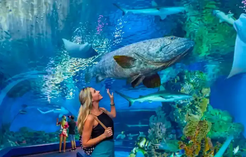 Hurghada Grand Aquarium Ticket