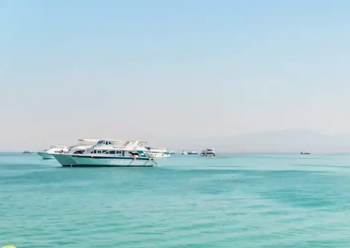 yachat orange bay